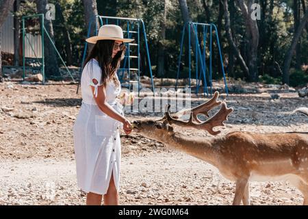Elegante turista femminile che dà da mangiare a un cervo nel santuario dei cervi sull'isola di Badija, vicino a Korcula, Croazia Foto Stock