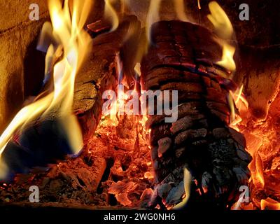 Fuoco acceso con fiamme ardenti e carbone acceso in una stufa Foto Stock