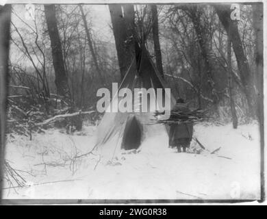 Winter-Apsaroke, c1908. Donna Apsaroke che porta legna da ardere nella neve, si avvicina a tipi. Foto Stock