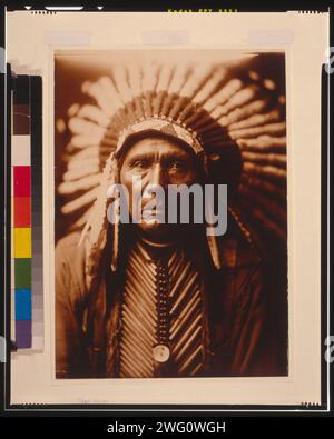 Tre cavalli, c1905. Tre cavalli, testa e spalle ritratto, davanti, con copricapo. Foto Stock