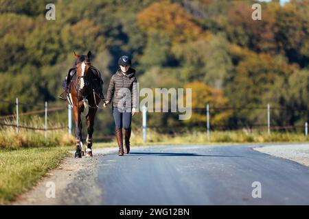 Una giovane donna cammina lungo un sentiero in una soleggiata giornata autunnale e porta il suo cavallo a fare un giro. Vestiti con abiti da equitazione e sellati pronti per il cavallo. Foto nelle terre Foto Stock