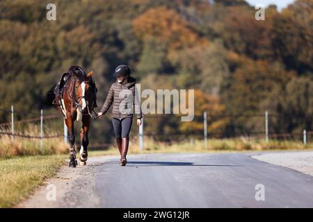 Una giovane donna cammina lungo un sentiero in una soleggiata giornata autunnale e porta il suo cavallo a fare un giro. Vestiti con abiti da equitazione e sellati pronti per il cavallo. Foto nelle terre Foto Stock