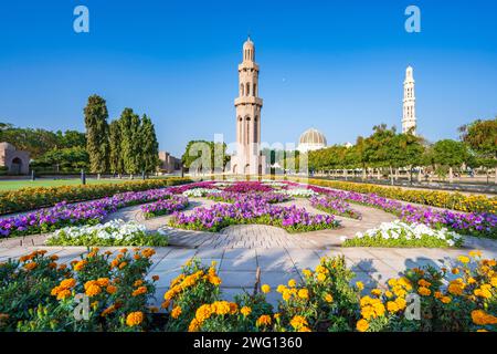 Grande Moschea del Sultano Qaboos, fiori in fiore nei giardini, Mascate, Oman Foto Stock