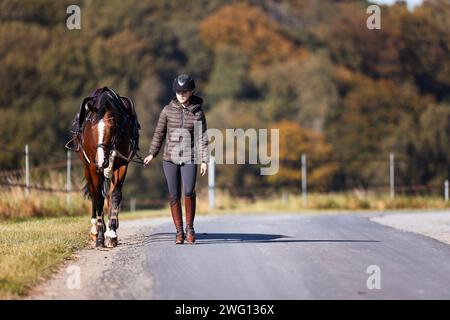 Una giovane donna cammina lungo un sentiero in una soleggiata giornata autunnale e porta il suo cavallo a fare un giro. Vestiti con abiti da equitazione e sellati pronti per il cavallo. Foto nelle terre Foto Stock