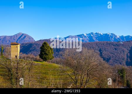 Vigneto a collina d'oro con montagna a Lugano, Ticino in Svizzera Foto Stock