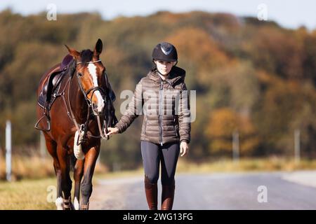 Una giovane donna cammina lungo un sentiero in una soleggiata giornata autunnale e porta il suo cavallo a fare un giro. Vestiti con abiti da equitazione e sellati pronti per il cavallo. Foto nelle terre Foto Stock