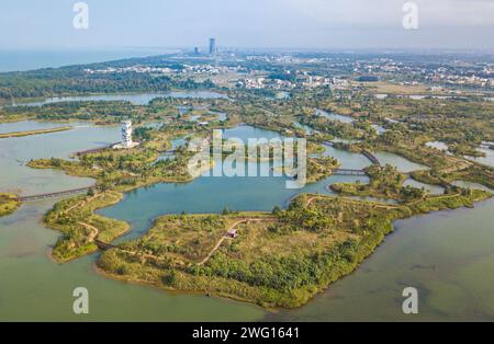 Haikou. 1 febbraio 2024. Una foto aerea con un drone scattata il 1° febbraio 2024 mostra il paesaggio presso la zona umida del fiume Maiya a Haikou, nella provincia di Hainan nel sud della Cina. Haikou è stata accreditata dalla Convenzione di Ramsar come città internazionale delle zone umide nel 2018. Negli ultimi anni, la città ha rafforzato la conservazione e il restauro delle zone umide. Con l'attuazione di varie misure, i benefici ecologici, economici e sociali derivanti dalla costruzione di una città internazionale delle zone umide sono diventati sempre più importanti. Credito: PU Xiaoxu/Xinhua/Alamy Live News Foto Stock