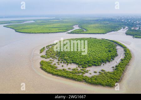 Haikou. 1 febbraio 2024. Una foto aerea con un drone scattata il 1° febbraio 2024 mostra le mangrovie nella riserva naturale nazionale di Dongzhaigang a Haikou, nella provincia di Hainan nella Cina meridionale. Haikou è stata accreditata dalla Convenzione di Ramsar come città internazionale delle zone umide nel 2018. Negli ultimi anni, la città ha rafforzato la conservazione e il restauro delle zone umide. Con l'attuazione di varie misure, i benefici ecologici, economici e sociali derivanti dalla costruzione di una città internazionale delle zone umide sono diventati sempre più importanti. Credito: PU Xiaoxu/Xinhua/Alamy Live News Foto Stock