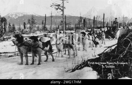 Prima squadra di cani a passare da nome a Seward, tra c1900 e c1930. Foto Stock