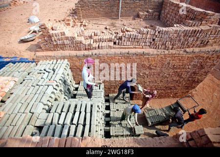 I lavoratori lavorano in un brickyard il 2 febbraio 2024 a Dacca, Bangladesh. Il Bangladesh attraversa una rapida urbanizzazione. La rapida urbanizzazione genera una domanda massiccia di mattoni, in quanto è uno degli ingredienti chiave per costruire strutture in cemento. Per rispondere a questa crescente esigenza, il numero dei campi di produzione di mattoni è aumentato a un ritmo allarmante in Bangladesh. La maggior parte di essi avviene in terreni agricoli che causano una riduzione della produzione agricola, e la combustione del carbone provoca enormi emissioni di CO2 di carbonio-di-ossido, che è principalmente responsabile del cambiamento climatico. Dhaka Dhaka Distretto di Bangla Foto Stock