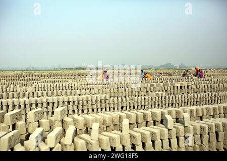 I lavoratori lavorano in un brickyard il 2 febbraio 2024 a Dacca, Bangladesh. Il Bangladesh attraversa una rapida urbanizzazione. La rapida urbanizzazione genera una domanda massiccia di mattoni, in quanto è uno degli ingredienti chiave per costruire strutture in cemento. Per rispondere a questa crescente esigenza, il numero dei campi di produzione di mattoni è aumentato a un ritmo allarmante in Bangladesh. La maggior parte di essi avviene in terreni agricoli che causano una riduzione della produzione agricola, e la combustione del carbone provoca enormi emissioni di CO2 di carbonio-di-ossido, che è principalmente responsabile del cambiamento climatico. Dhaka Dhaka Distretto di Bangla Foto Stock