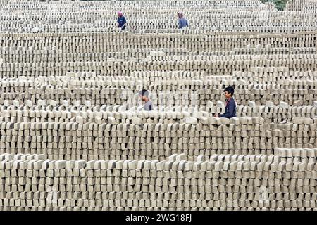 I lavoratori lavorano in un brickyard il 2 febbraio 2024 a Dacca, Bangladesh. Il Bangladesh attraversa una rapida urbanizzazione. La rapida urbanizzazione genera una domanda massiccia di mattoni, in quanto è uno degli ingredienti chiave per costruire strutture in cemento. Per rispondere a questa crescente esigenza, il numero dei campi di produzione di mattoni è aumentato a un ritmo allarmante in Bangladesh. La maggior parte di essi avviene in terreni agricoli che causano una riduzione della produzione agricola, e la combustione del carbone provoca enormi emissioni di CO2 di carbonio-di-ossido, che è principalmente responsabile del cambiamento climatico. Dhaka Dhaka Distretto di Bangla Foto Stock