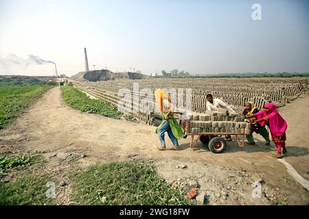 I lavoratori lavorano in un brickyard il 2 febbraio 2024 a Dacca, Bangladesh. Il Bangladesh attraversa una rapida urbanizzazione. La rapida urbanizzazione genera una domanda massiccia di mattoni, in quanto è uno degli ingredienti chiave per costruire strutture in cemento. Per rispondere a questa crescente esigenza, il numero dei campi di produzione di mattoni è aumentato a un ritmo allarmante in Bangladesh. La maggior parte di essi avviene in terreni agricoli che causano una riduzione della produzione agricola, e la combustione del carbone provoca enormi emissioni di CO2 di carbonio-di-ossido, che è principalmente responsabile del cambiamento climatico. Dhaka Dhaka Distretto di Bangla Foto Stock