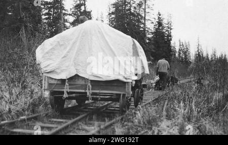 Squadra di cani che tira un carrello ferroviario, tra c1900 e c1930. Foto Stock