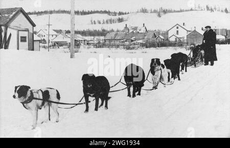 Squadra di slitte trainate da cani, tra c1900 e c1930. Foto Stock