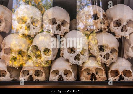 I campi di sterminio, teschi umani in mostra al Memoriale del genocidio di Choeung Ek, riflesso di alberi in vetro, Phnom Penh, Cambogia. © Kraig Lieb Foto Stock