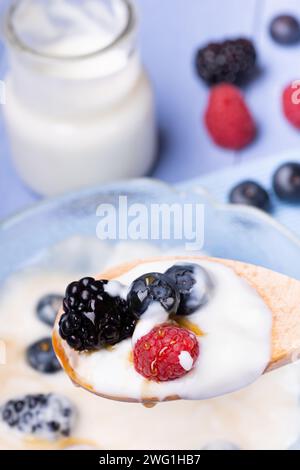 in primo piano un cucchiaio di yogurt magro con more, mirtilli, lamponi e miele di bosco. Sullo sfondo, il vaso e il recipiente con Foto Stock