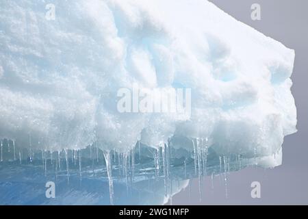 I ghiaccioli sono appesi a un iceberg vicino all'isola di Petermann in Antartide Foto Stock