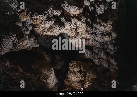 Formazioni uniche di calcite nel Jewel Cave National Monument chiamato "nailhead Spar" che ricoprono la grotta in una struttura simile a un gioiello Foto Stock