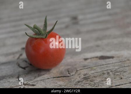 Pomodoro rotondo rosso su un tavolo di legno scuro all'esterno Foto Stock
