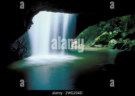 Cascata all'ingresso di una grotta, Natural Bridge, Springbrook National Park, Gold Coast, Queensland, Australia Foto Stock