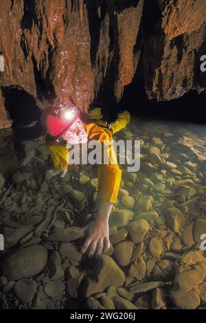 Femmina di speleologia che sta affrontando un basso gattonaggio in acqua sotto le formazioni di caverne di calcite. Actun Tinichil Muknal Cave, Maya Mountains, Cayo District, Belize. Foto Stock