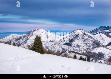 Paesaggio montano invernale al tramonto. Le colline e la foresta sono ricoperte di neve sull'altopiano di Kok Zhailao ad Almaty, Kazakistan. Foto Stock