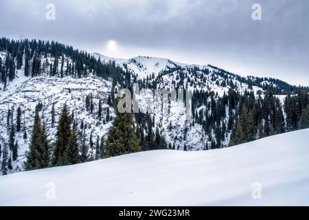 Il paesaggio montano invernale con colline e foresta è coperto di neve sull'altopiano di Kok Zhailao ad Almaty, Kazakistan. Foto Stock