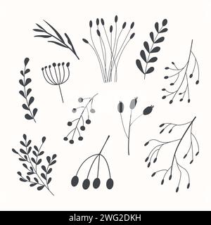 Set di erbario autunnale. Rami diversi con bacche e foglie. Piante forestali selvatiche. Collezione vettoriale di elementi di progettazione botanica. La linea nera lo è Illustrazione Vettoriale
