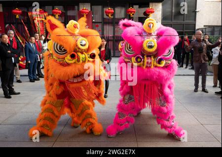 Madrid, Spagna. 2 febbraio 2024. Due tipici costumi di drago cinesi visti durante la presentazione della programmazione culturale della città di Madrid per il capodanno cinese, l'anno del drago, nel Centro culturale Cinese di Madrid. (Immagine di credito: © Alberto Gardin/SOPA Images via ZUMA Press Wire) SOLO USO EDITORIALE! Non per USO commerciale! Foto Stock