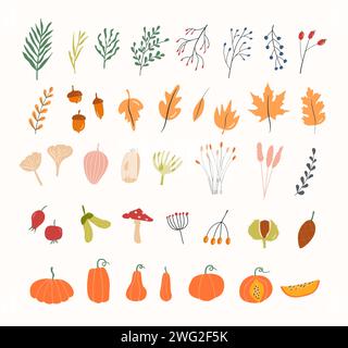 Set di erbario autunnale. Rami e ramoscelli diversi con bacche e foglie. Piante forestali selvatiche. Collezione vettoriale di elementi di progettazione botanica. Col Illustrazione Vettoriale