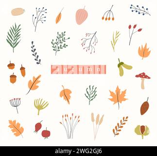Set di erbario autunnale. Rami e ramoscelli diversi con bacche e foglie. Carta con piante forestali selvatiche. Collezione vettoriale di disegno botanico ele Illustrazione Vettoriale