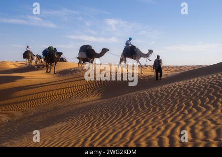 carovana di cammello sulle dune del sahara al sole serale Foto Stock