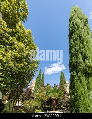 Fotografía panorámica del huerto de Calixto y Melibea con árboles en primer plano y las torres de la Catedral al fondo, Salamanca, España Foto Stock