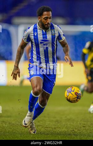 Sheffield, Regno Unito. 31 gennaio 2024. Sheffield Wednesday attaccante Mallik Wilks (7) durante la partita Sheffield Wednesday FC vs Watford FC Sky BET EFL Championship all'Hillsborough Stadium, Sheffield, Regno Unito il 31 gennaio 2024 Credit: Every Second Media/Alamy Live News Foto Stock