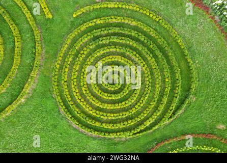 Vista aerea del bellissimo giardino estivo con prato verde e cespugli a forma di spirale. Design paesaggistico Foto Stock