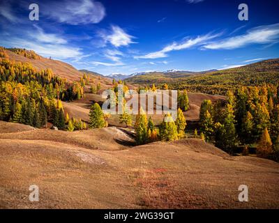 Scenario aereo di colorate foglie autunnali ad Altai. Foreste lussureggianti e colline ondulate sotto un cielo azzurro. Foto Stock