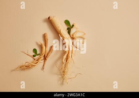 Radice di ginseng coreano e alcune fette di ginseng decorate su sfondo beige. Spazio vuoto per l'aggiunta di testo o prodotto Foto Stock