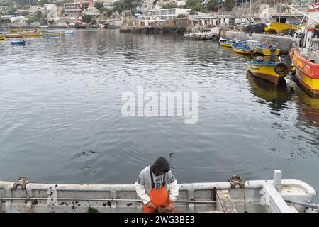 Tongoy, Coquimbo, Cile. 2 febbraio 2024. Un pescatore taglia il pesce fresco nella baia di Tongoy, in Cile. (Immagine di credito: © Matias Basualdo/ZUMA Press Wire) SOLO USO EDITORIALE! Non per USO commerciale! Foto Stock