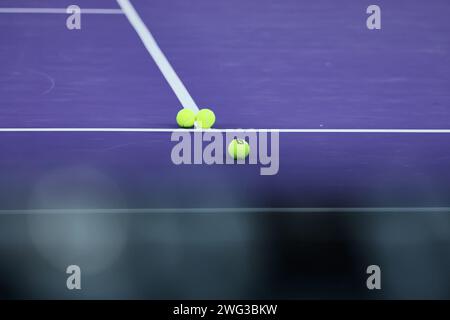 Linz, alta Austria, Austria. 2 febbraio 2024. Impressioni in azione durante l'alta Austria Ladies Linz - Womens Tennis, WTA500 (immagine di credito: © Mathias Schulz/ZUMA Press Wire) SOLO USO EDITORIALE! Non per USO commerciale! Foto Stock