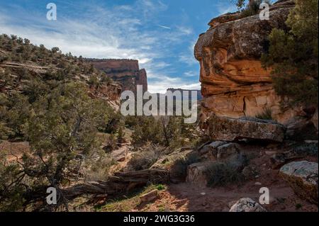 Il deserto scivola sotto la foce del devil's Canyon vicino a Fruita, Colorado Foto Stock