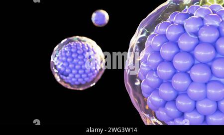 il rendering 3d delle cellule è circondato da una membrana di plasma, che è una barriera sottile e flessibile che separa la cellula dal suo ambiente. Foto Stock