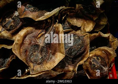 Un mucchio di razze secche vendute nel mercato locale di Kampot Cambogia che mostrano l'autentica cucina e cultura khmer esotica Foto Stock