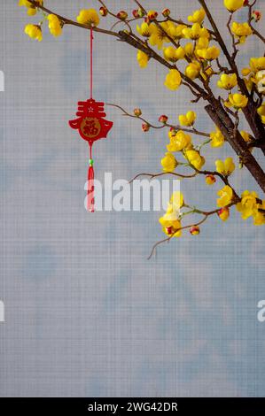 Un pendente appeso (parola significa benedizione) all'albero giallo in fiore cinese sullo sfondo della parete per il concetto del nuovo anno cinese. Foto Stock