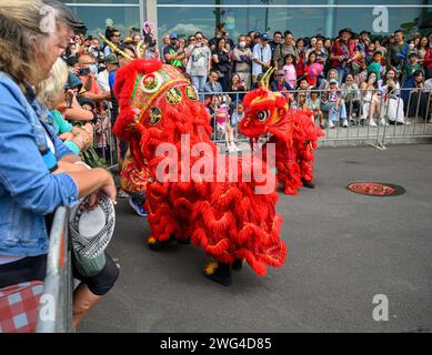 Auckland, nuova Zelanda - 3 febbraio 2024: Folle tifo leoni ballerini. Festa del capodanno cinese. Spettacolo gratuito in strada. Foto Stock