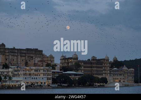 Vista serale del Palazzo della città e dei pipistrelli che volano con la Luna sullo sfondo, Udaipur, Rajasthan, India. Foto Stock