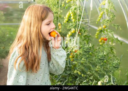 Una ragazza in una serra raccoglie pomodori rossi e gialli freschi. un bambino felice e allegro mangia un pomodoro in giardino. Foto Stock