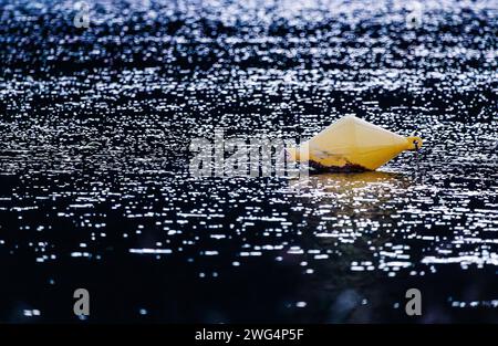 Boa al crepuscolo nelle lagune della Ruidera Foto Stock