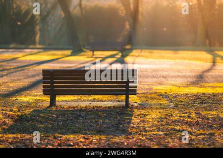 Panca vuota con sfondo illuminato sfocato. Autunno nel parco. Un effetto da sogno e bagliore Foto Stock
