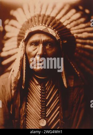 Tre cavalli, c1905. Tre cavalli, testa e spalle ritratto, davanti, con copricapo. Foto Stock